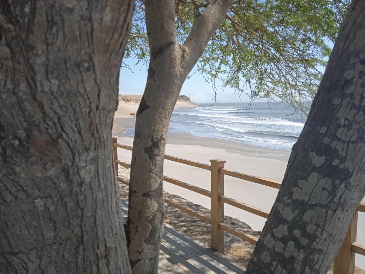 Отель Chicama Surf Camp Пуэрто Чикама Экстерьер фото